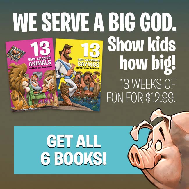 13 Very Series banner