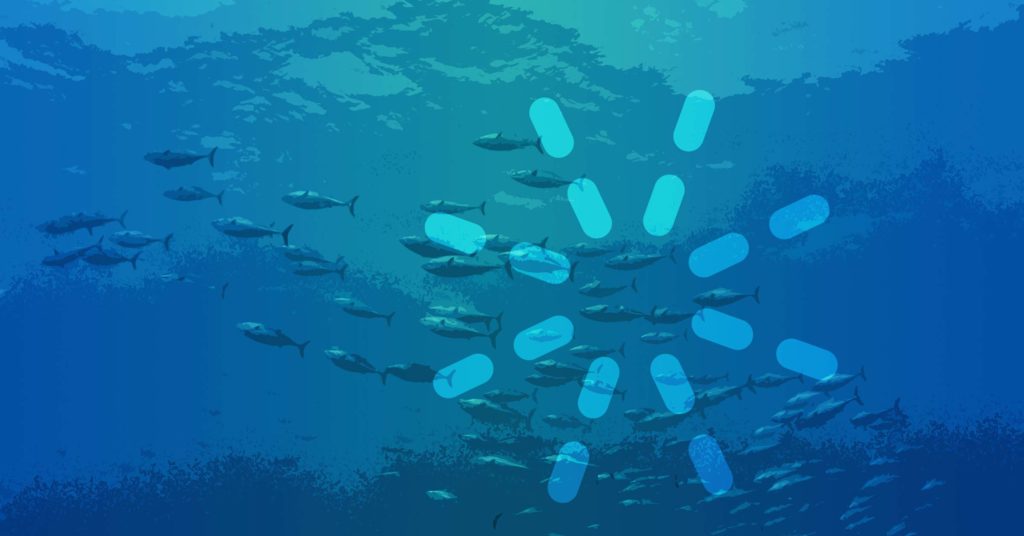 Amazing Animal Jesus calling disciples fish