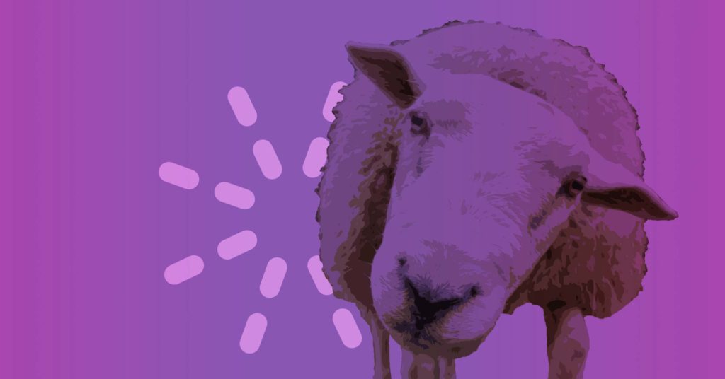 Meet An Amazing Animal in the Parable of the Lost Sheep