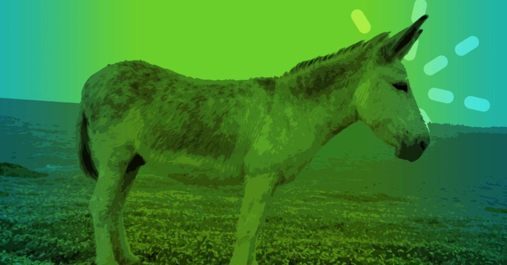 Amazing Animal Triumphal Entry donkey