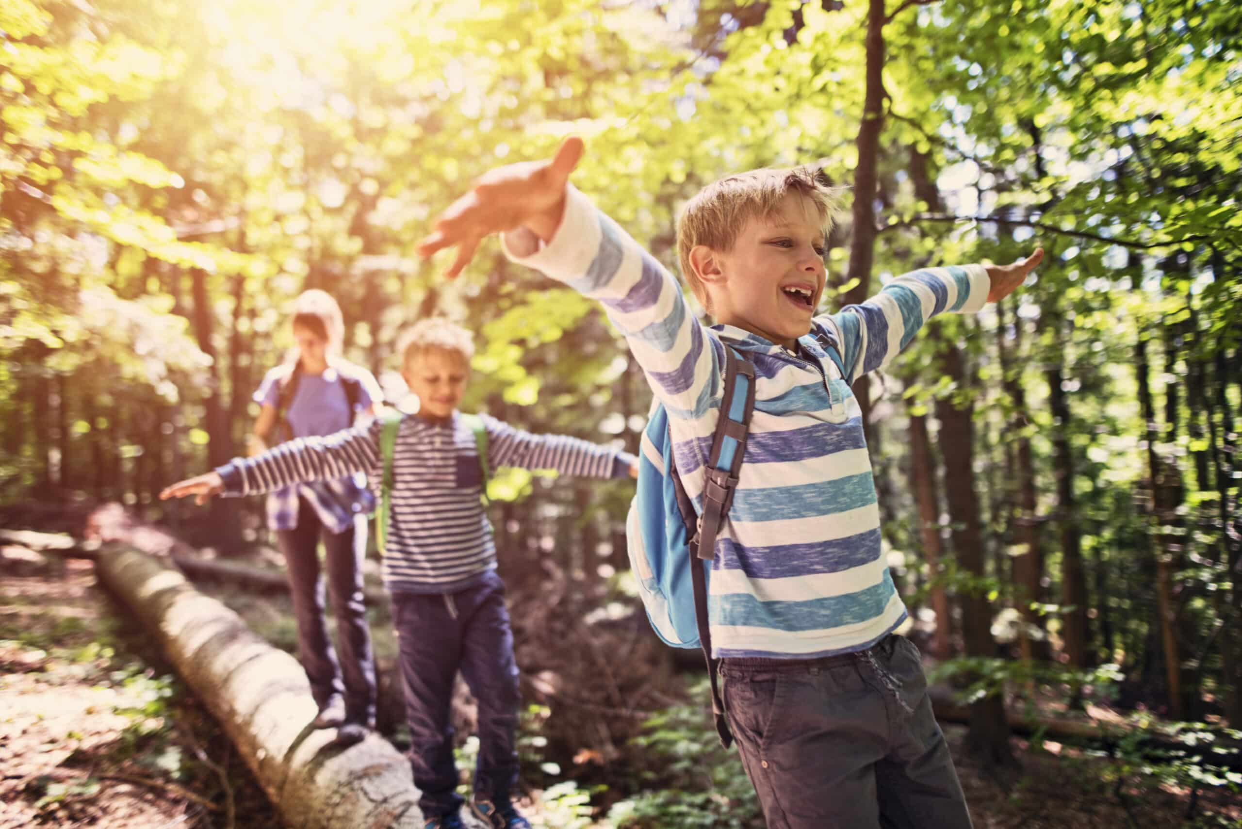 kids walking in the forest