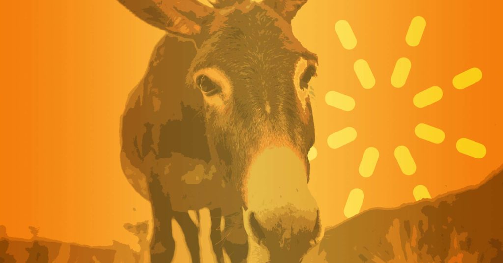 Donkey in the Story of Balaam