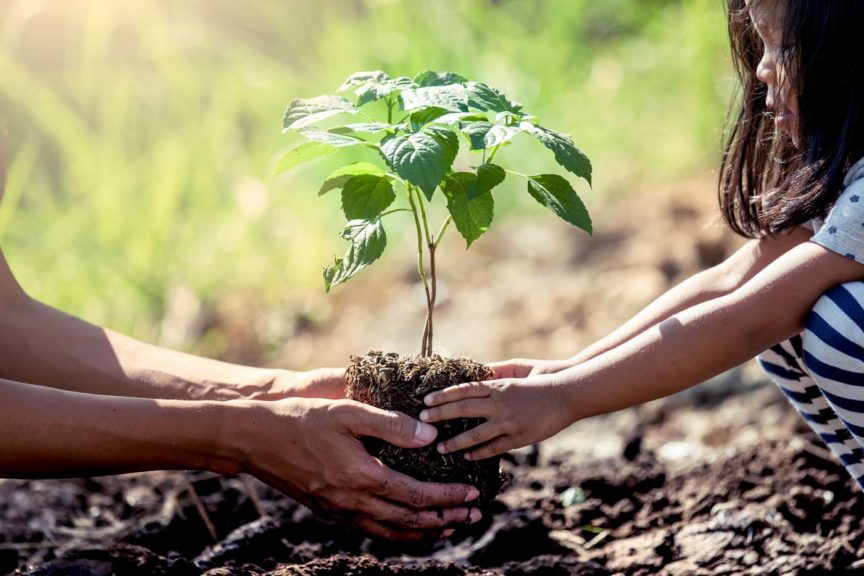 mother-daughter-planting-in-field