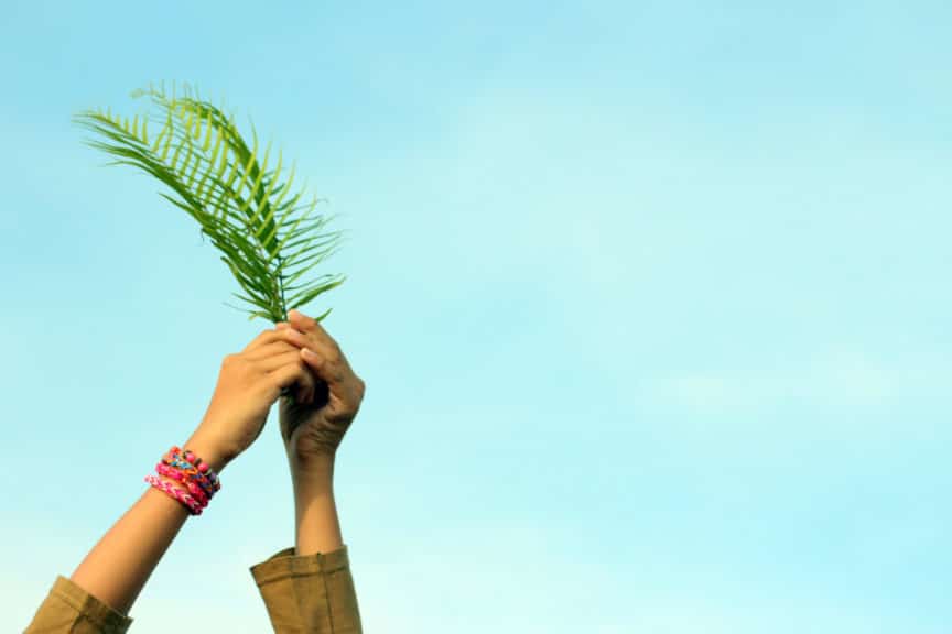 young woman hand holding the palm leaves and Nature Background