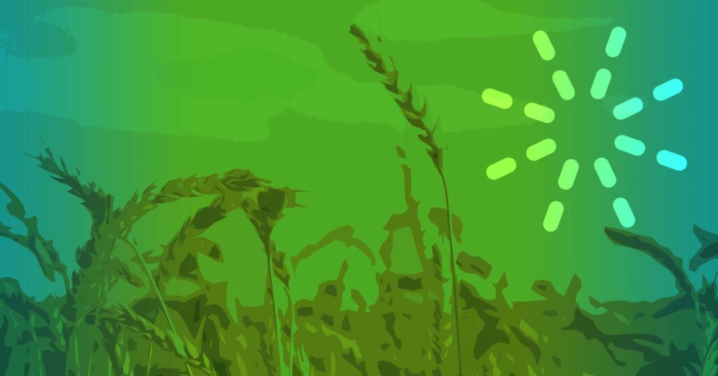 Parable of the Sower Ministry spark featured photo